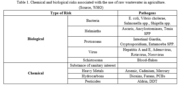 article IJEAP: Review on waste water reuse for irrigation towards achieving environmental sustainability